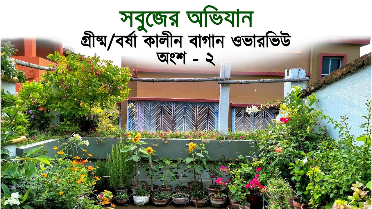 গ্রীষ্ম/বর্ষা কালীন ছাদ বাগান ওভারভিউ - ২০২১ | অংশ - ২ | সবুজের অভিযান | Rooftop garden Overview
