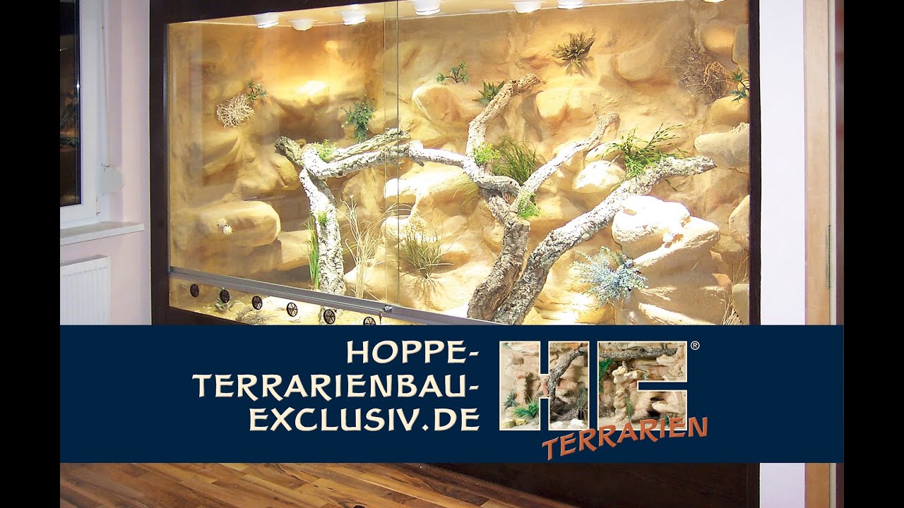 Terrarienkauf: Tipps und Anregungen für ein Wüstenterrarium