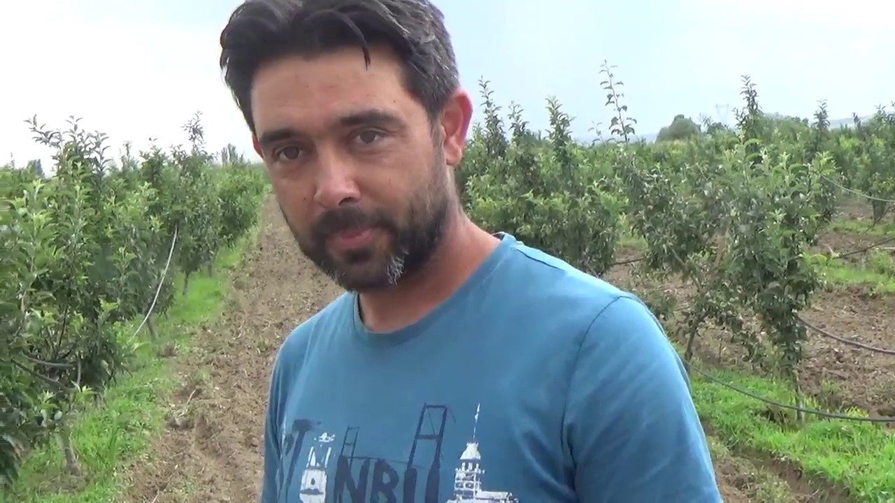 Çivril - Scarlet Spur Cinsi Elma Ağacı - Fidanı - Sürgün Yapmama Sorunu
