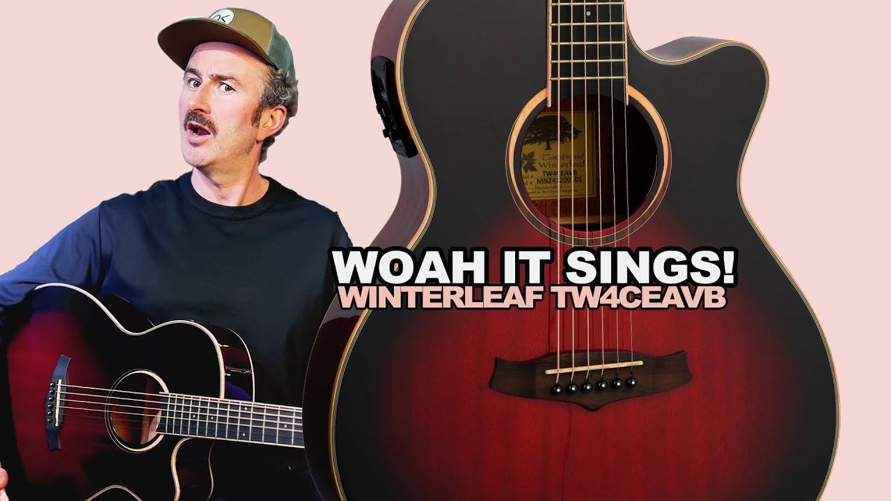 Overview Tanglewood Winterleaf TW4CEAVB w Damien Nolan