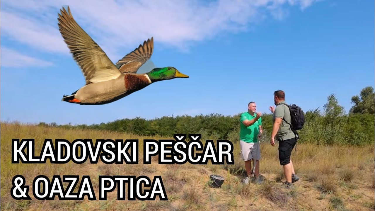 Oaza ep.41 - Kladovski peščar & oaza ptica