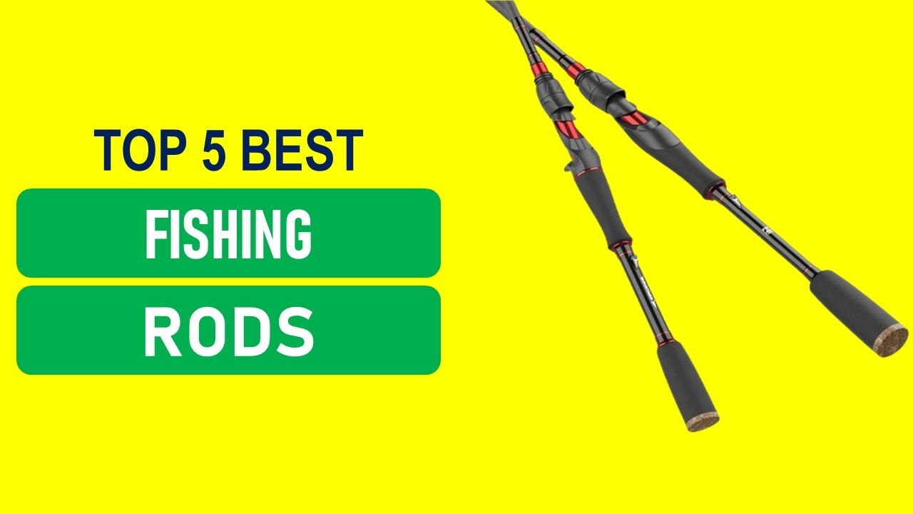 Best Budget Fishing Rods 2026