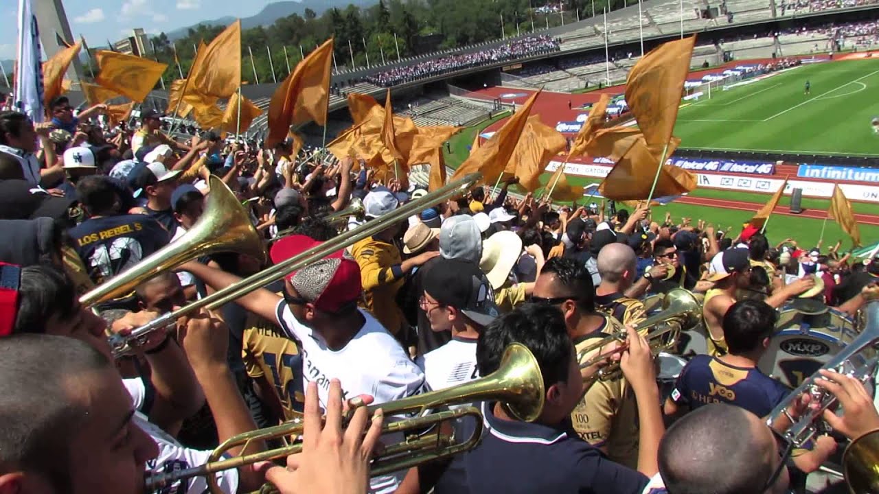 no me importa lo que digan - rebel   2015