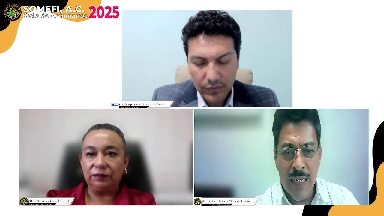 Ciclo de seminarios virtuales SOMEFI 2025