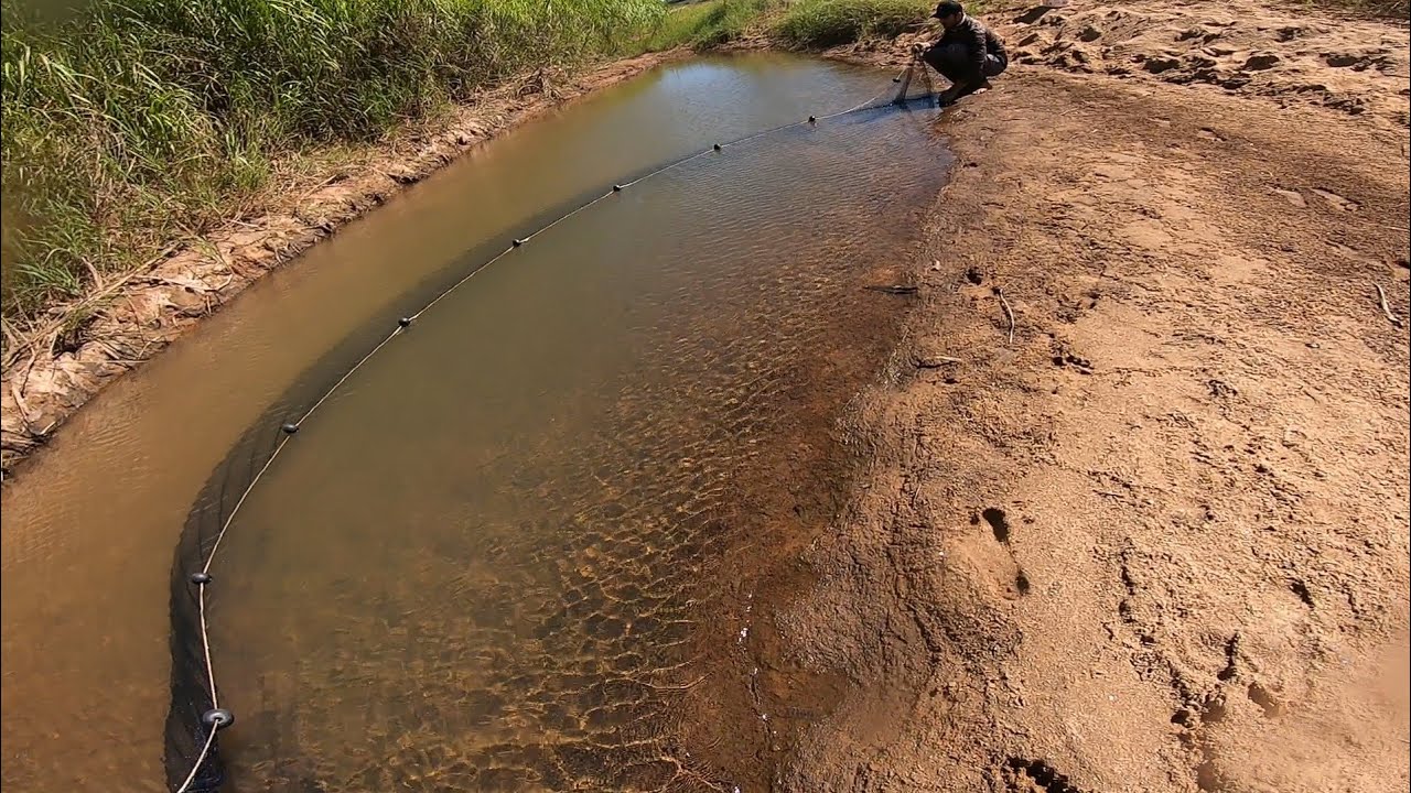 VOLTEI NA PO&Ccedil;A QUE EST&Aacute; SECANDO PARA SALVAR MAIS PEIXES!