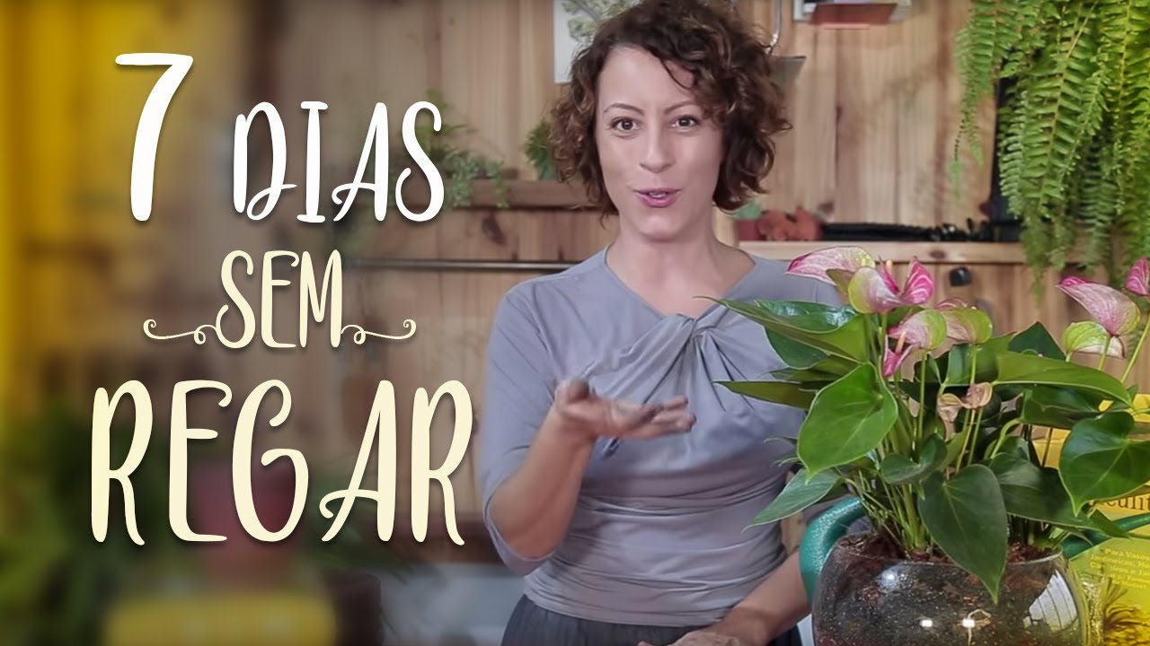 Como REGAR as PLANTAS quando VIAJAR