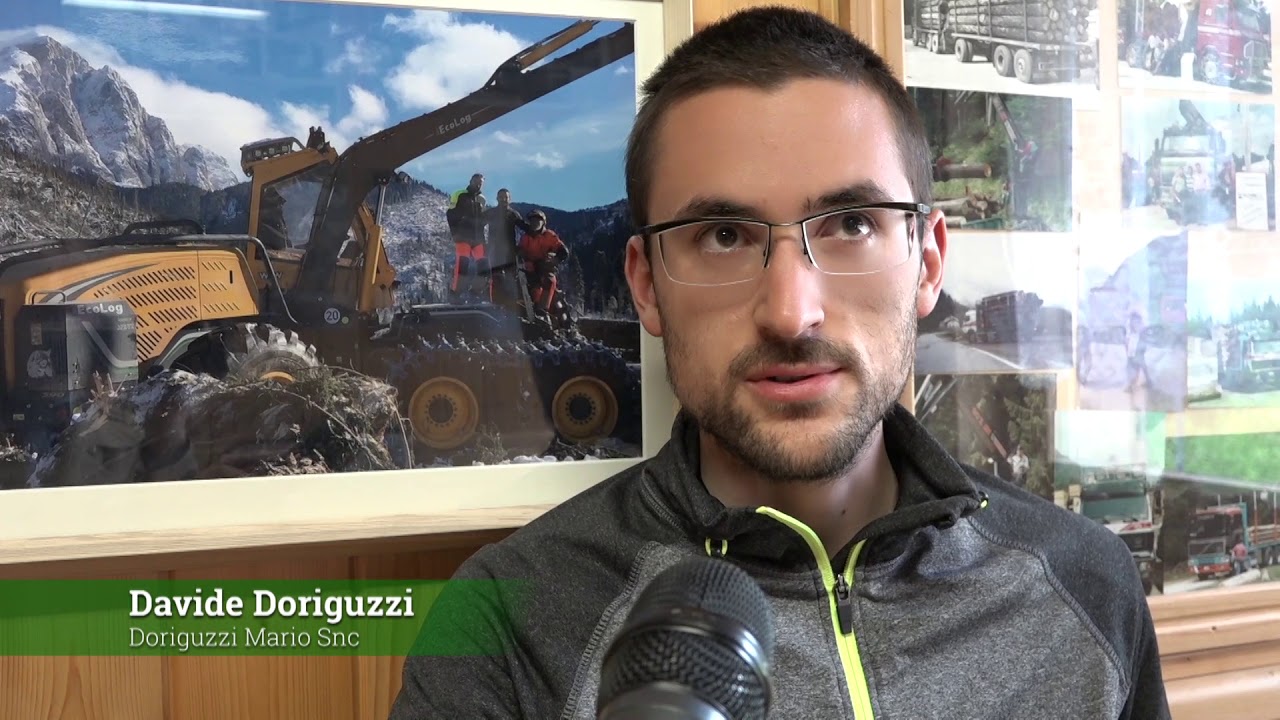 DORIGUZZI