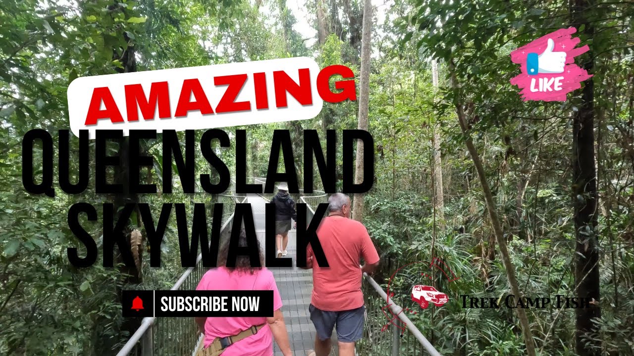 Mamu Skywalk Paronella Park Far North Queensland - come see the view !!