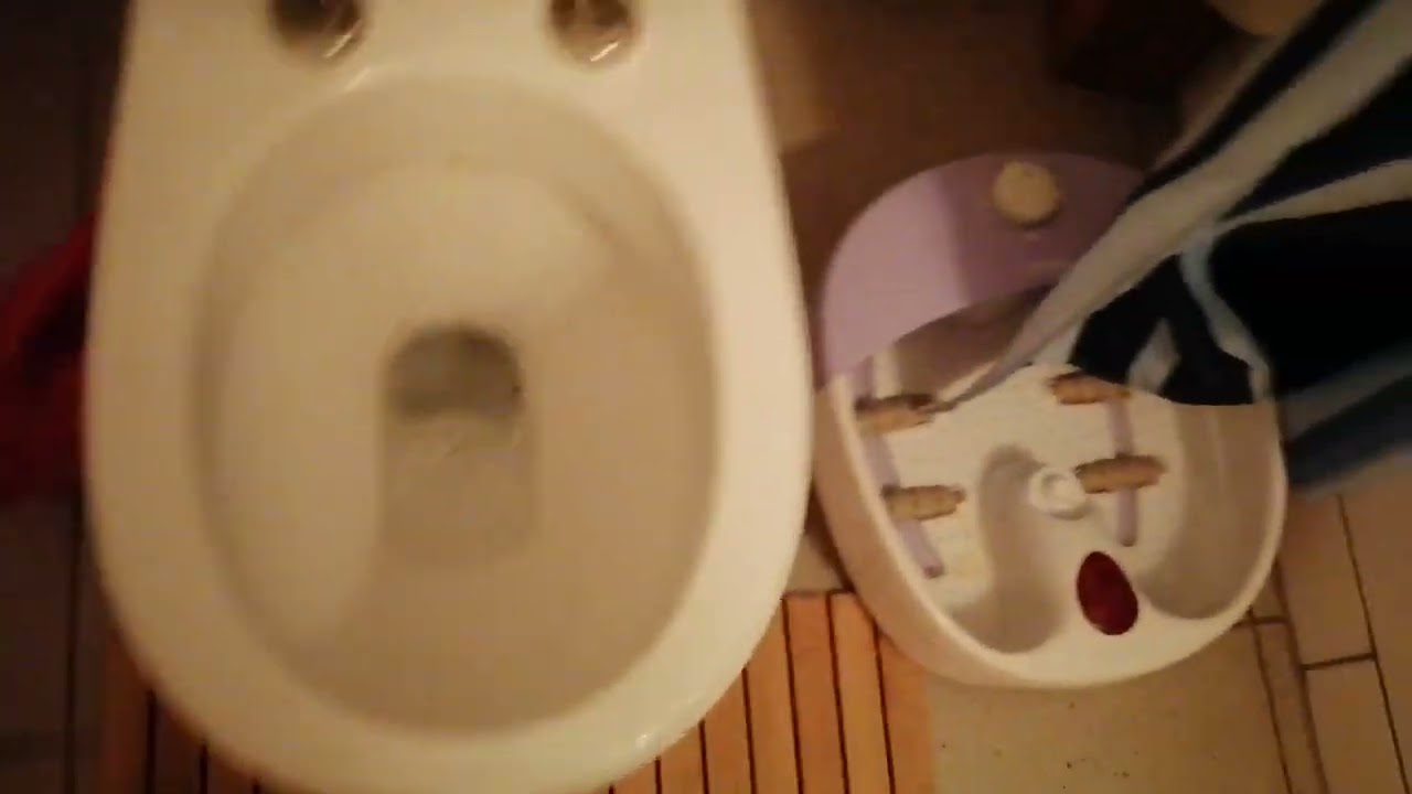 Gustavsberg toilet skylning