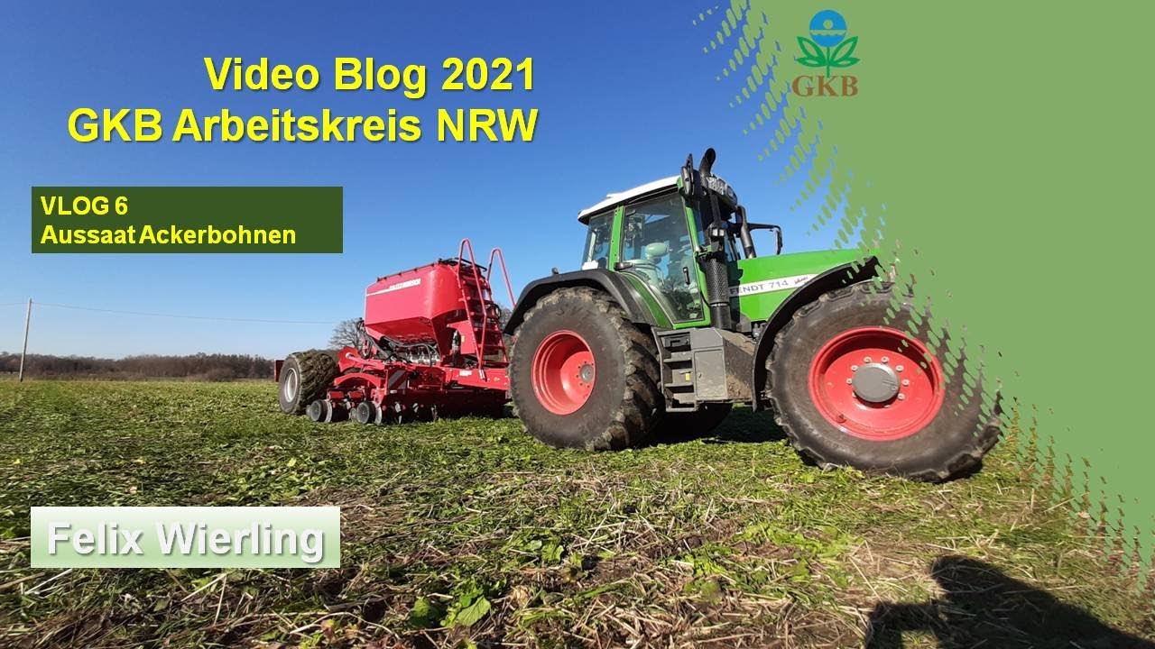 2021 - Teil 6