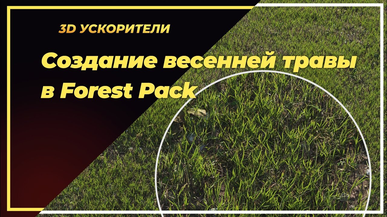Создаю весеннюю траву в 3D Max при помощи Forest Pack
