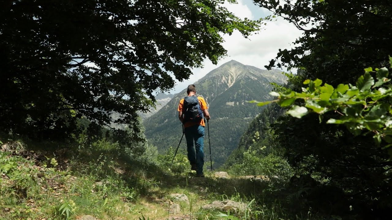 EL BOSQUE DE SALENQUES