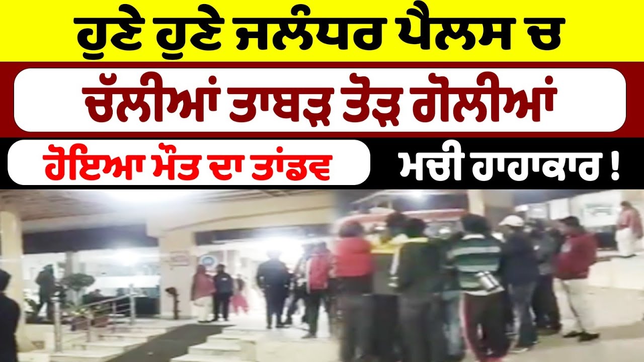 ਹੁਣੇ ਹੁਣੇ ਜਲੰਧਰ ਪੈਲਸ ਚ ਚੱਲੀਆਂ ਤਾਬੜ ਤੋਡ਼ ਗੋ/ਲੀਆਂ ! ਮਚੀ ਹਾਹਾਕਾਰ !  Punjab News
