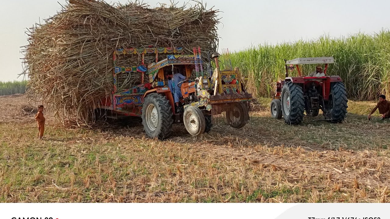 First loading of 2025 ghazi 640tractor show
