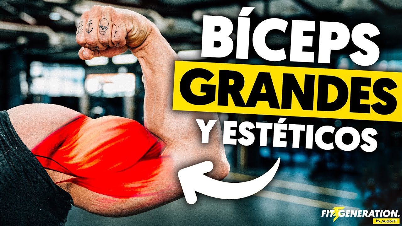 C&oacute;mo desarrollar B&Iacute;CEPS grandes y est&eacute;ticos (mejores ejercicios)