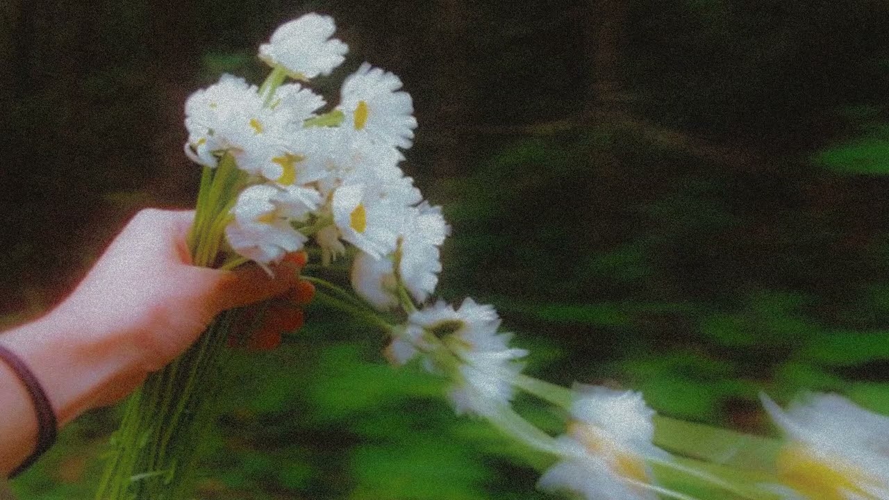 [FREE] Acoustic Guitar x Piano Type Beat | Pop Instrumental | 