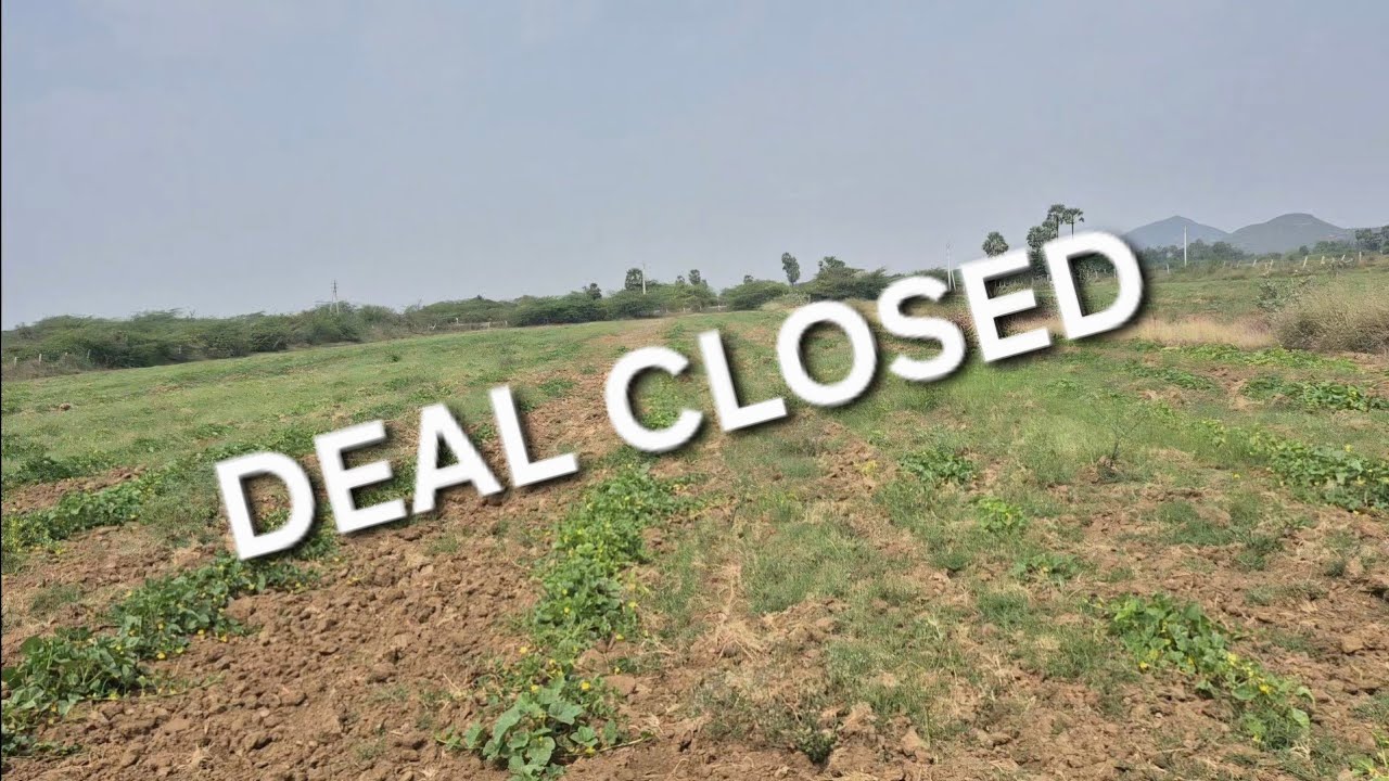 Tar Road facing Farm land for sale, Canal Water,8 Acres, Varikuntapadu,Nellore Dt, Ph:9493432636