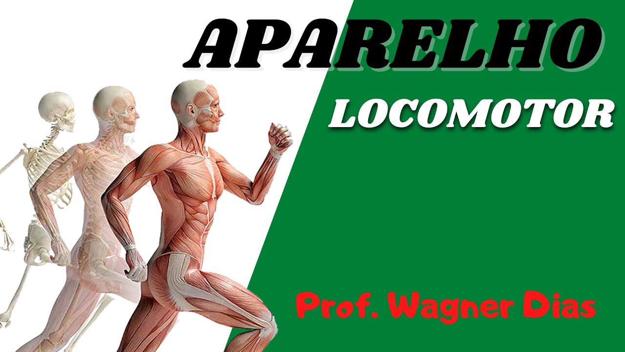 APARELHO LOCOMOTOR
