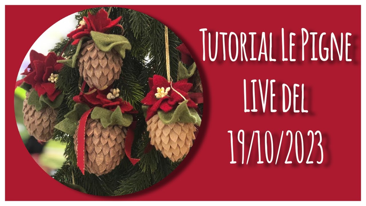 Tutorial Le Pigne - LIVE 19/10/2023