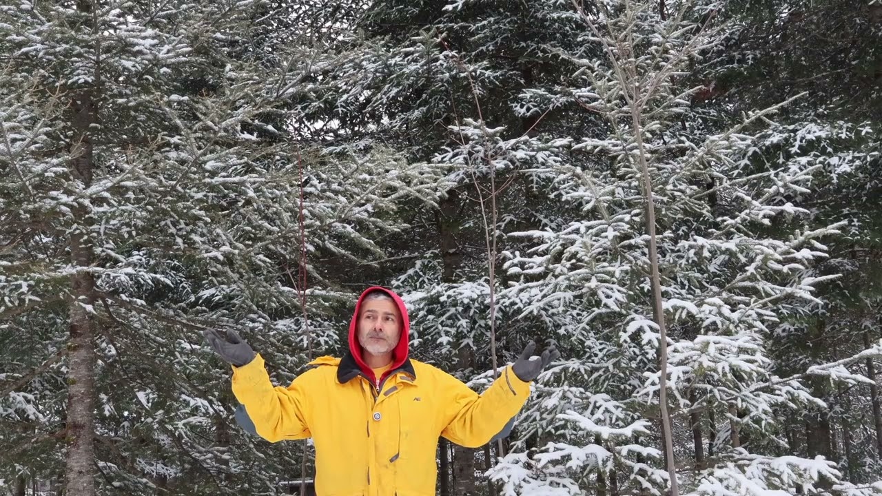 Как справиться с зимней хандрой
