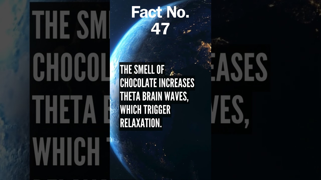 Epic Fact Chronicles: Journey into the Extraordinary 🚀 | Unveil the Unknown!