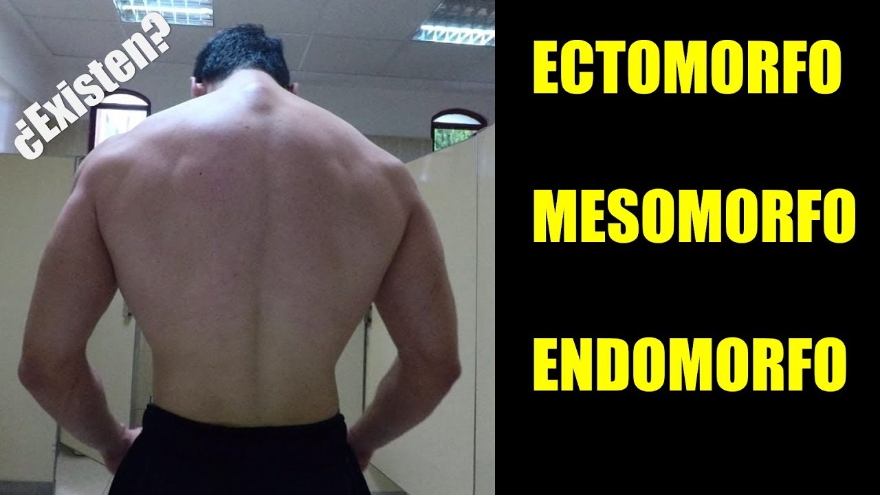 SOMATOTIPOS... ¿En Verdad Existen? Examinando al Endomorfo, Mesomorfo y Ectomorfo (PODCAST Ep.3)