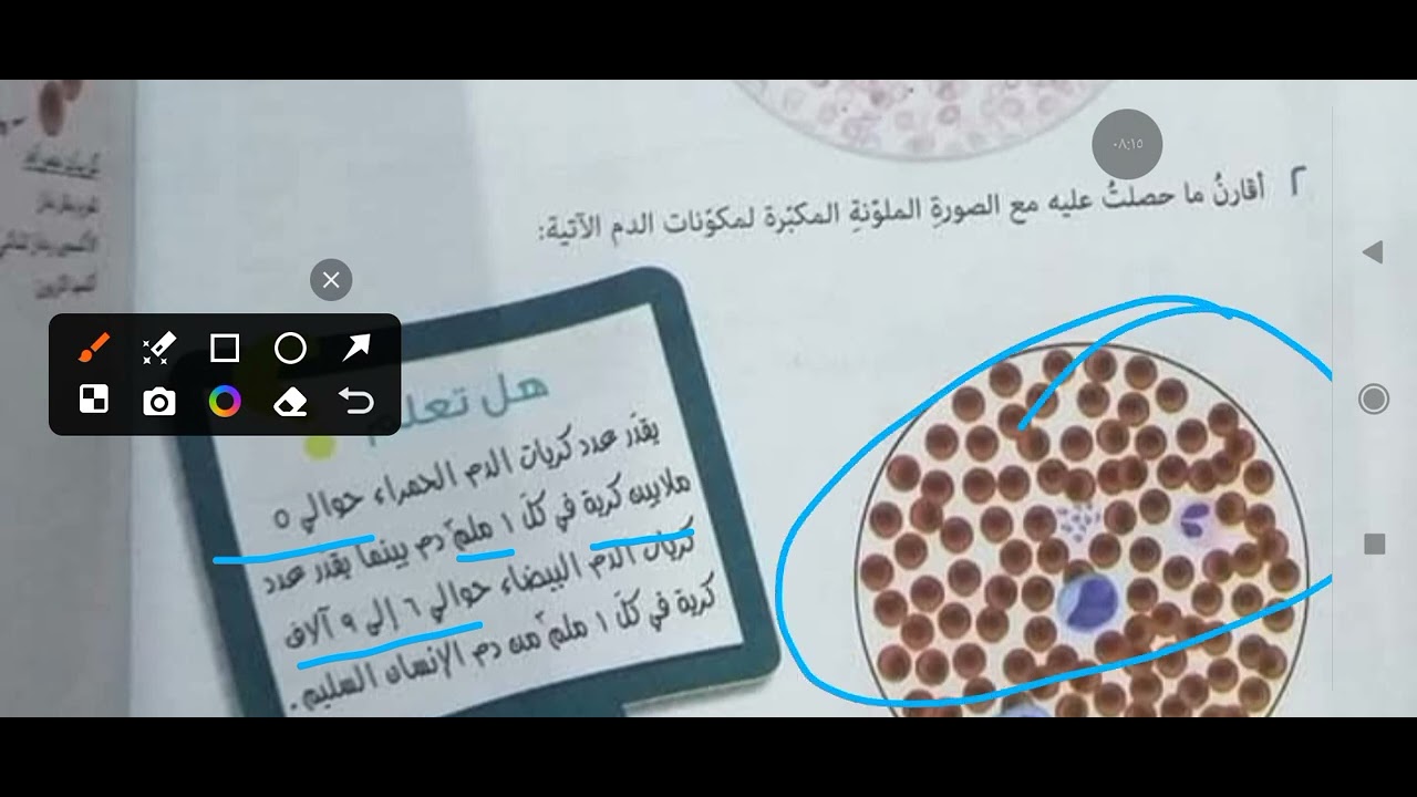 شبكة الحياة ودرس أحمي أنقل أغذي الصف خامس المنهاج السوري علوم 