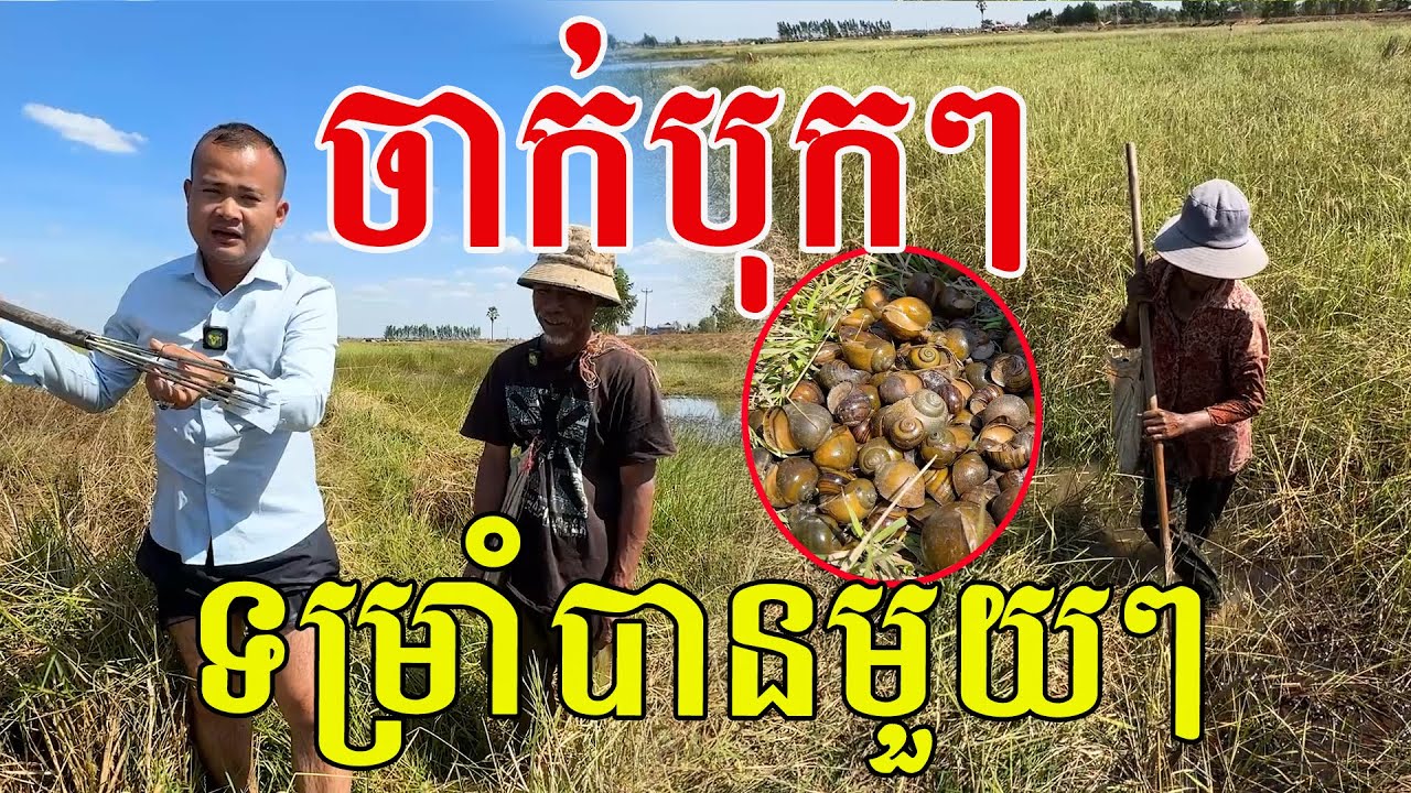 ប្លែកមែនភូមិនេះ ចេះរកនឹកឃើញ ស្មានថារកអន្ទង់