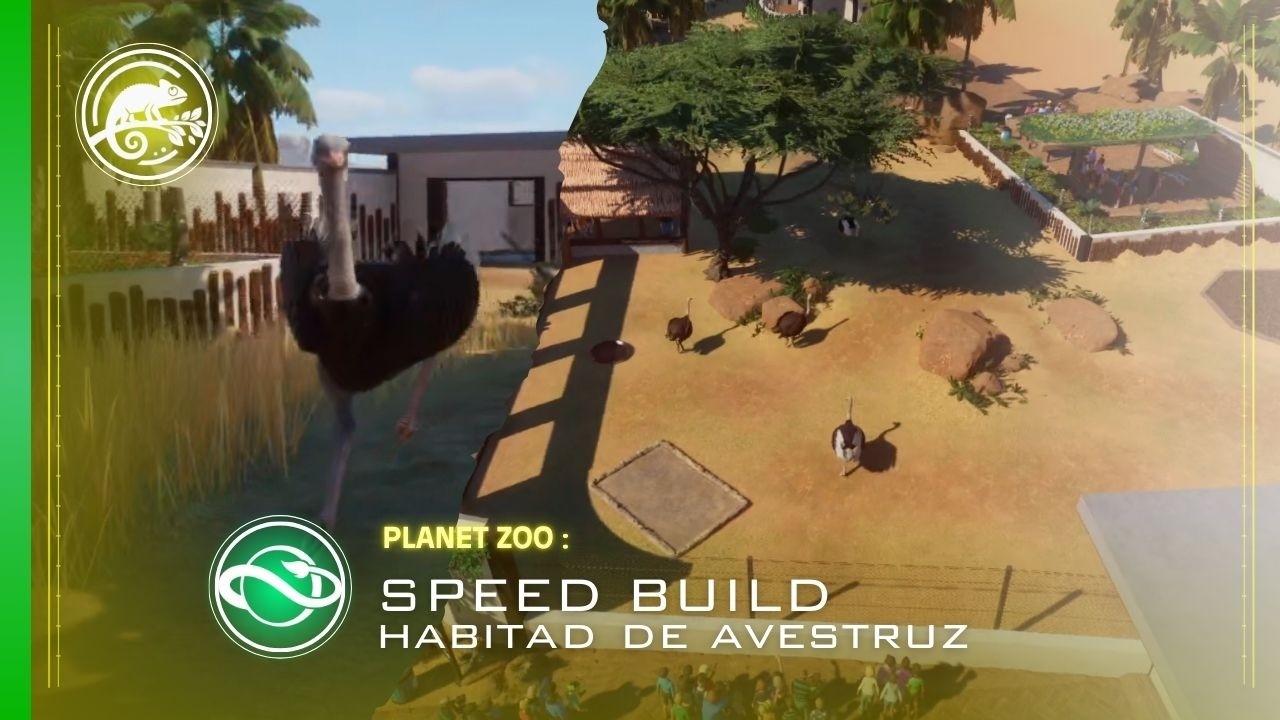 Exhibición de Avestruz | Speed Build | PLANET ZOO
