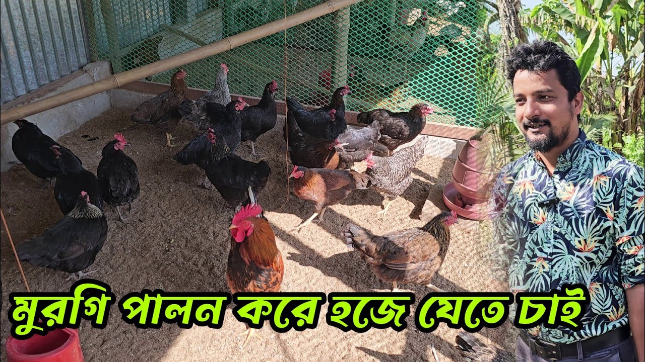 আল্লাহ তুমি যেন আপুর মনের আশাটা পূরণ কর মুরগি পালন করে হজে যেতে চাই