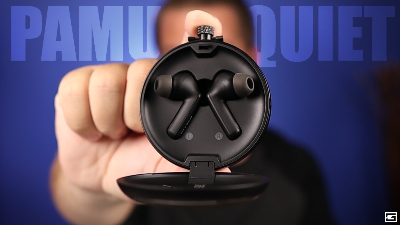 Pamu Quiet : World's First Dual Chip ANC Earbuds!
