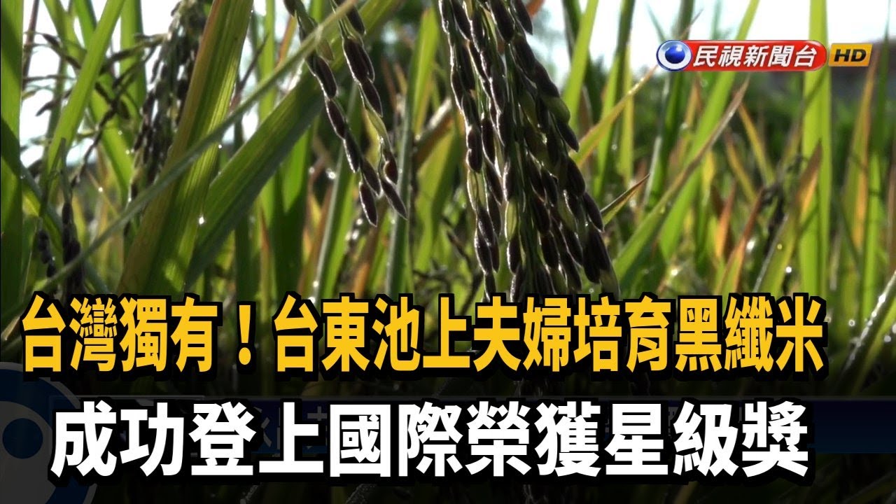 台東池上夫婦培育黑纖米 登國際獲星級獎－民視新聞
