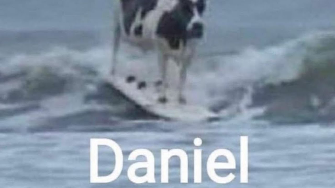 Random memes I permanently borrowed PT.937