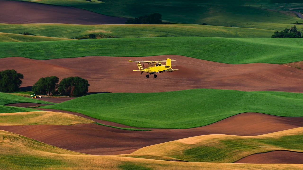 Washington Palouse 2019