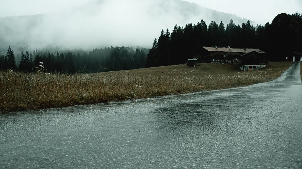 Roadside Rain Sounds &bull; 3 Hours of Soothing Rainfall for Sleep and Calmness