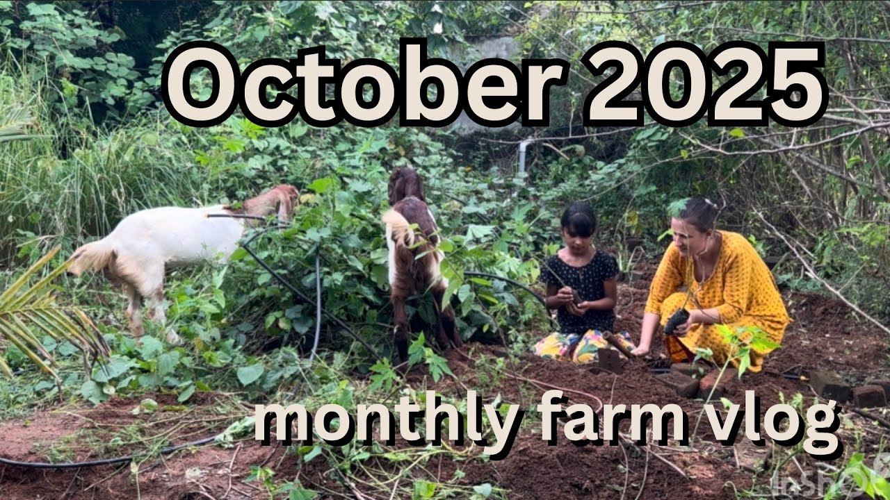 October 2025 recap | monthly farm vlog | Diwali, guest house, monsoon gardening