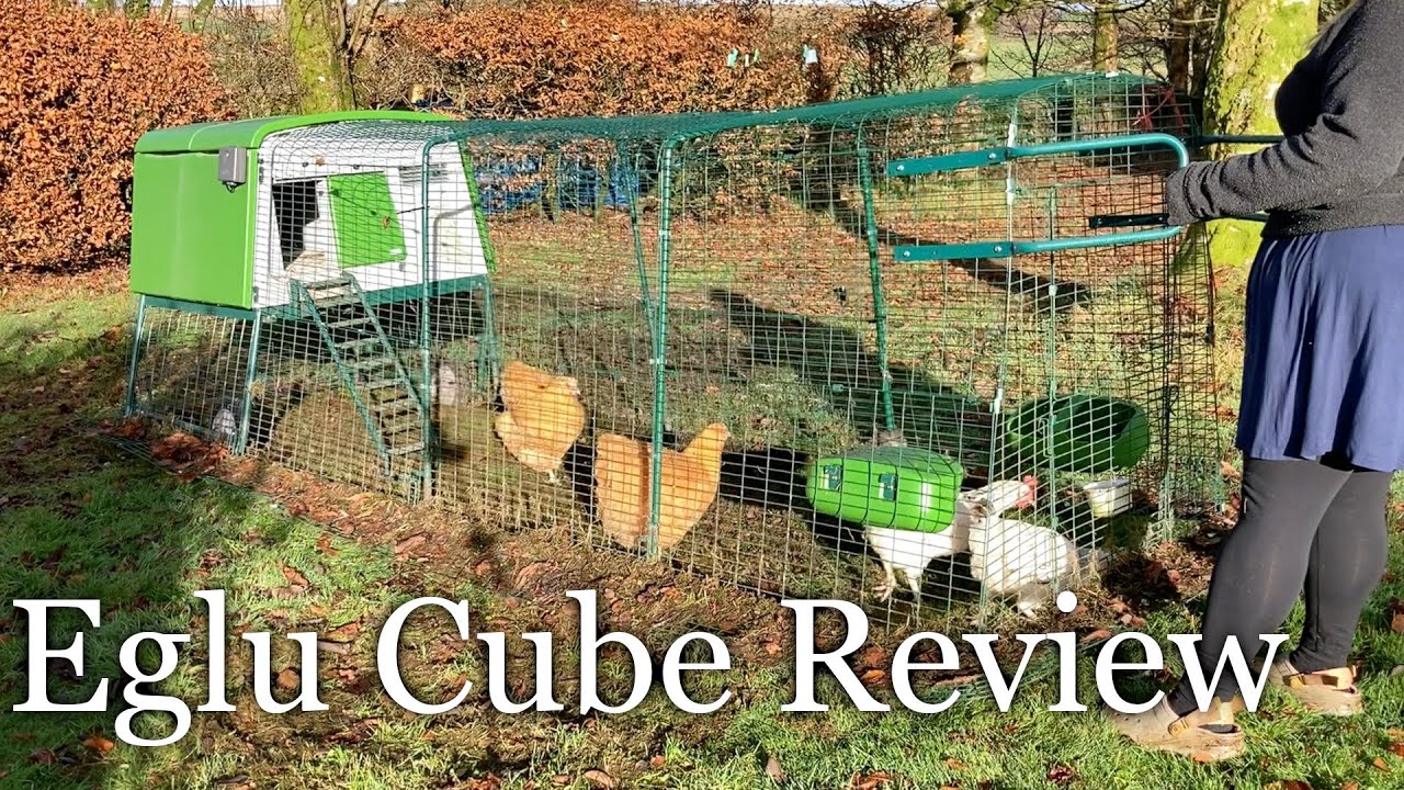 Is the Eglu Cube worth it? How we keep chickens on our Scottish Homestead
