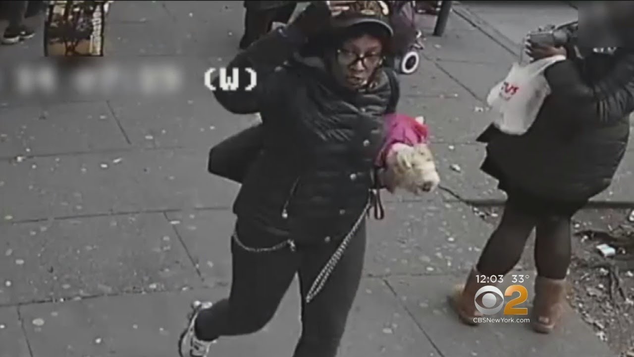 Woman Sought In Slashing Aboard Bronx Bus