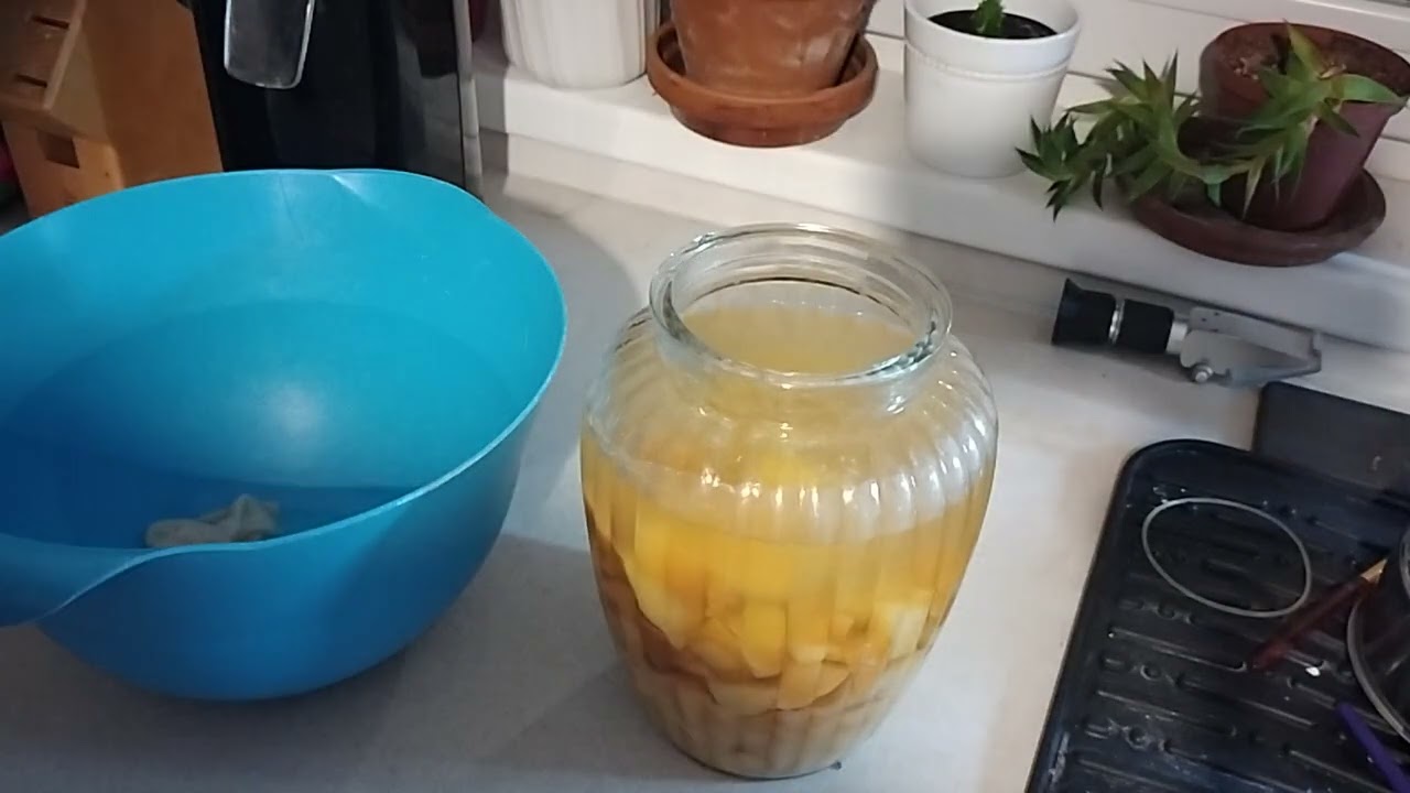 Oximel Essigmutter selber erzeugen