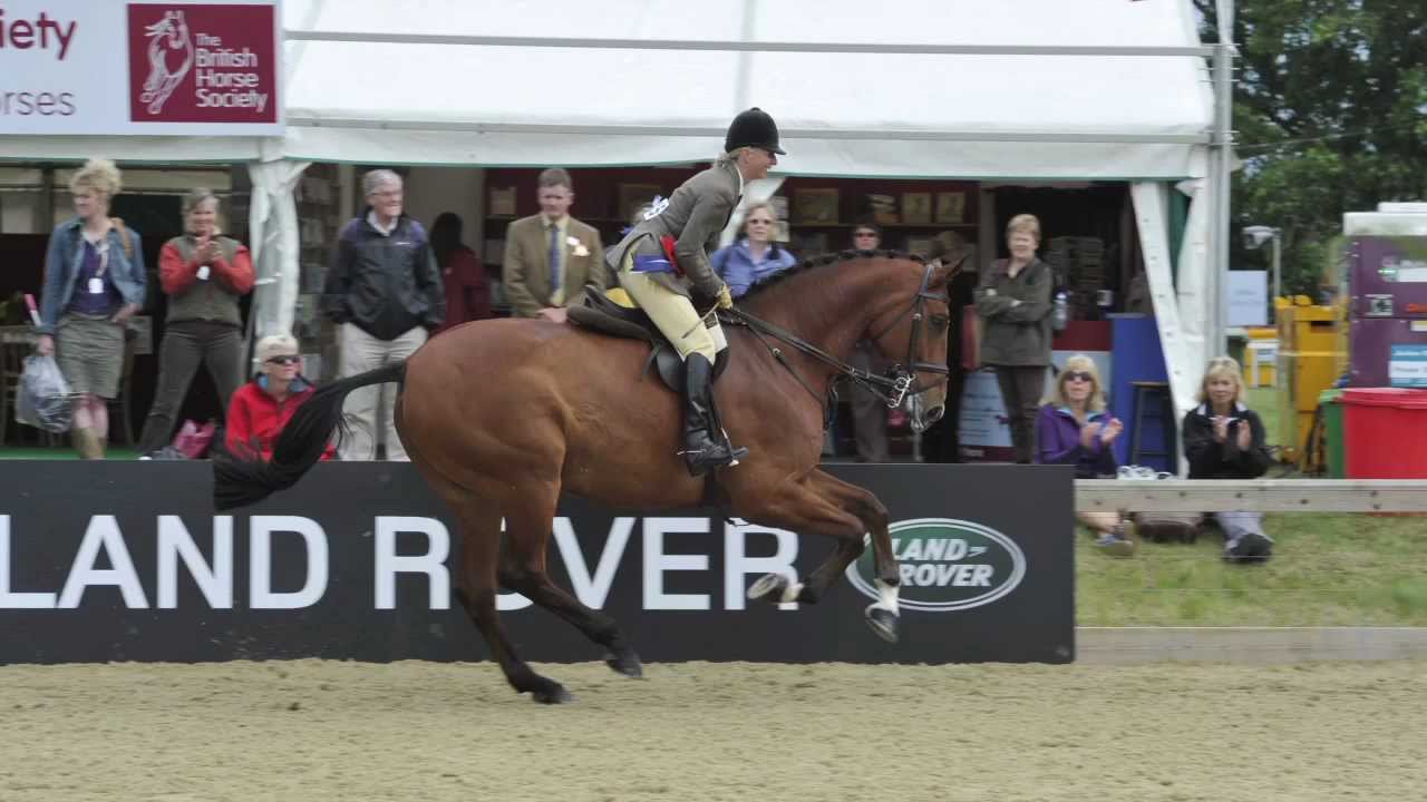 Royal Windsor Horse Show