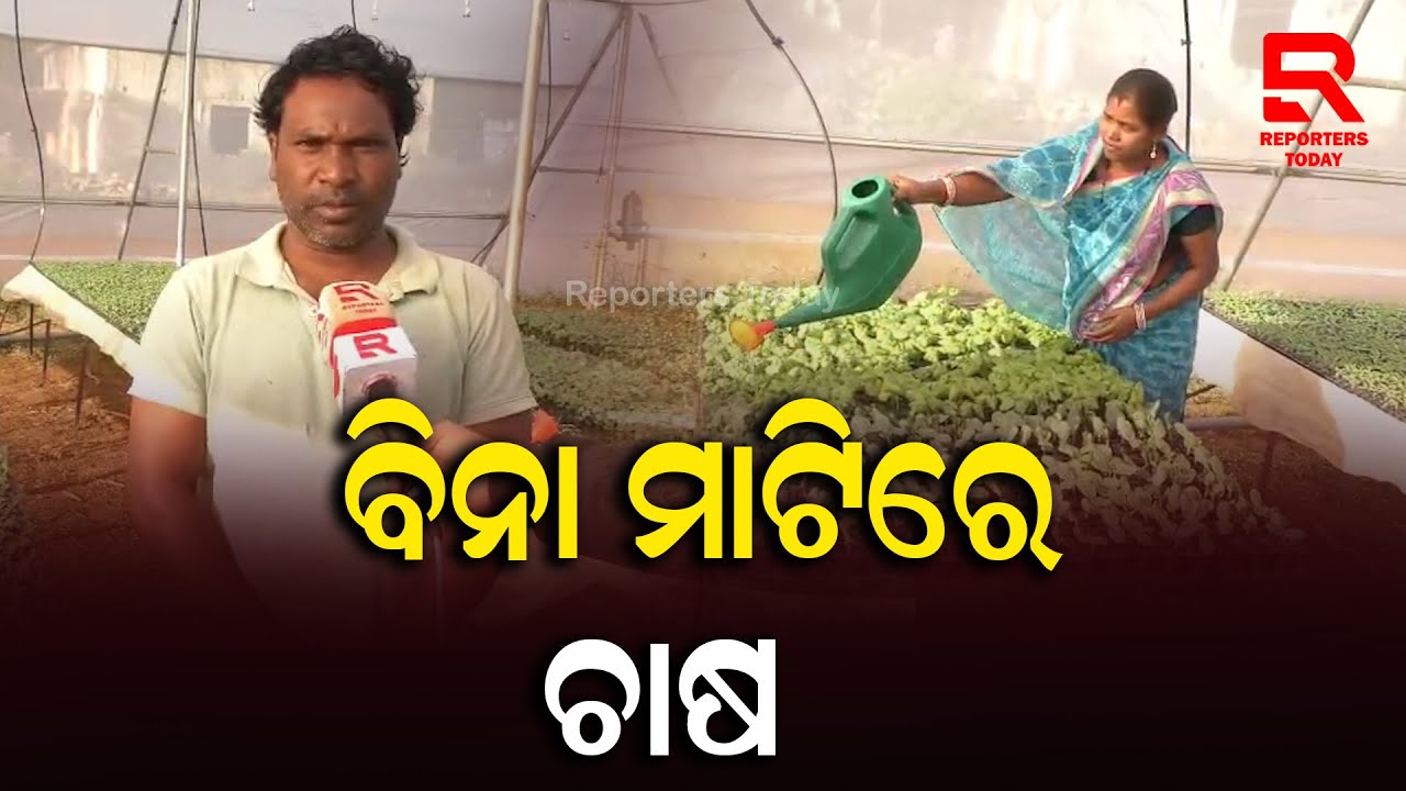 ବିନା ମାଟିରେ ଫଳ ପନି ପରିବା ଚାରା ଉତ୍ପାଦନ କରୁଛନ୍ତି ମହିଳା || Hydroponic Farming in Damposh Village, Kutra