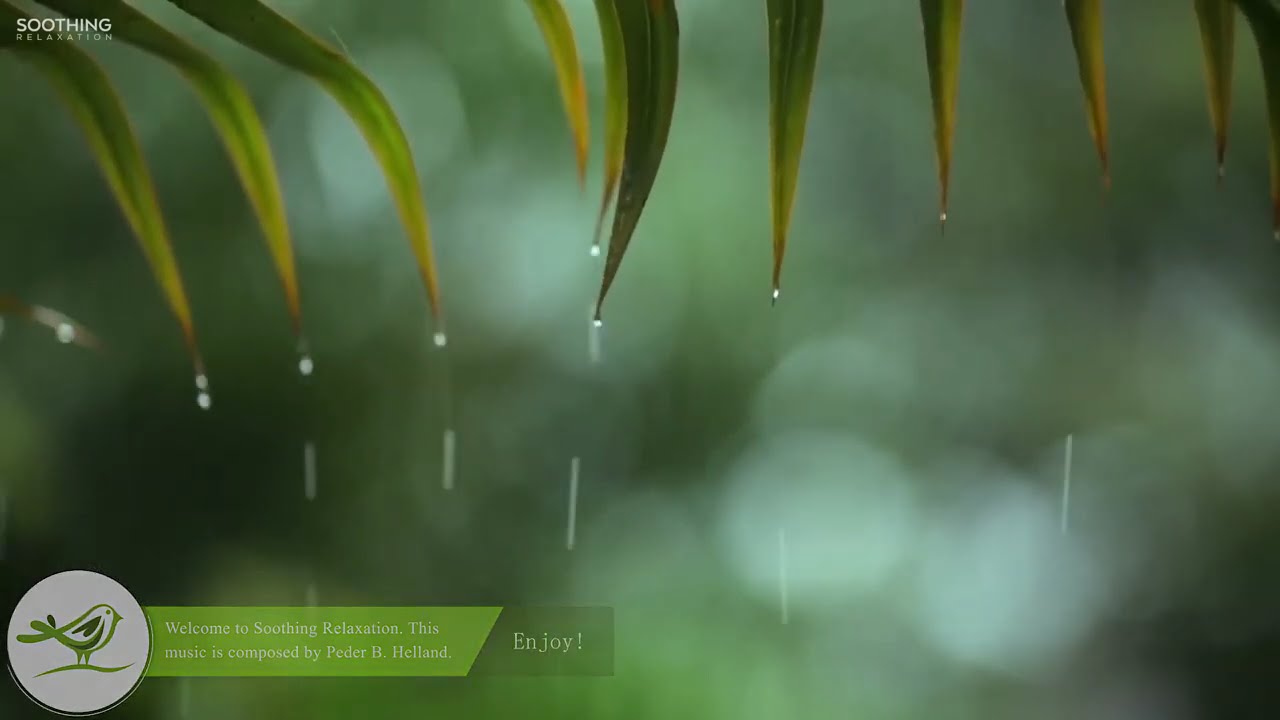 You & Me: Relaxing Piano Music & Soft Rain Sounds For Sleep & Relaxation by Peder B. Helland