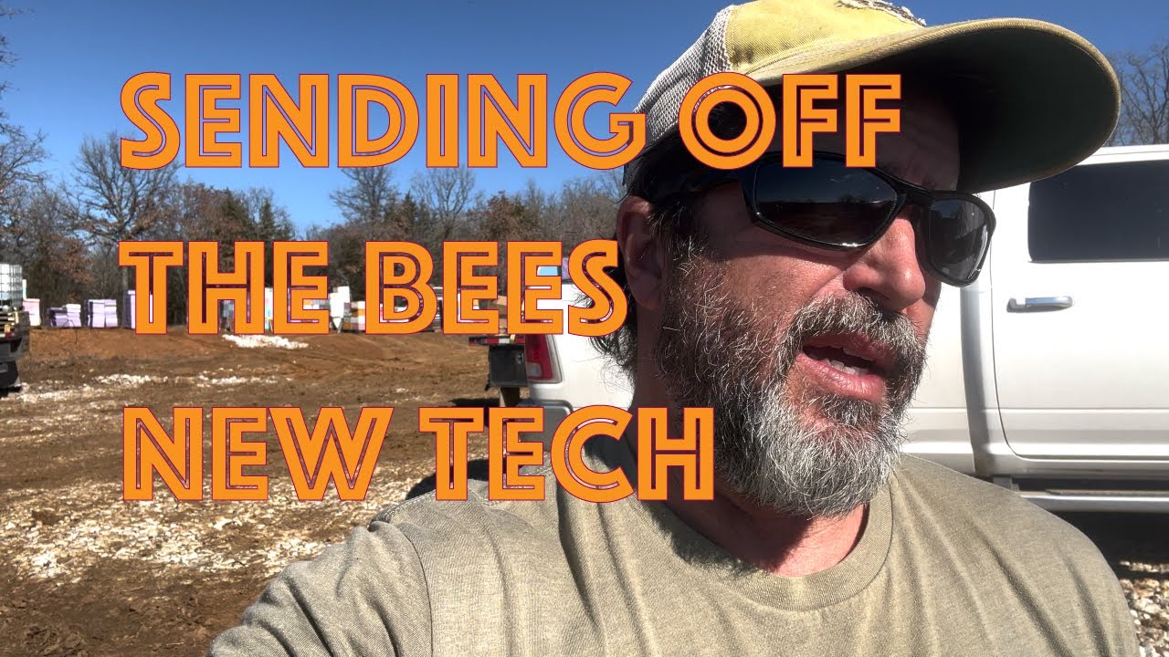 COMMERCIAL POLLINATOR ALMONDS AND 🐝-yond, season ends & new 1 begins. 365 days, ready, set and GO!