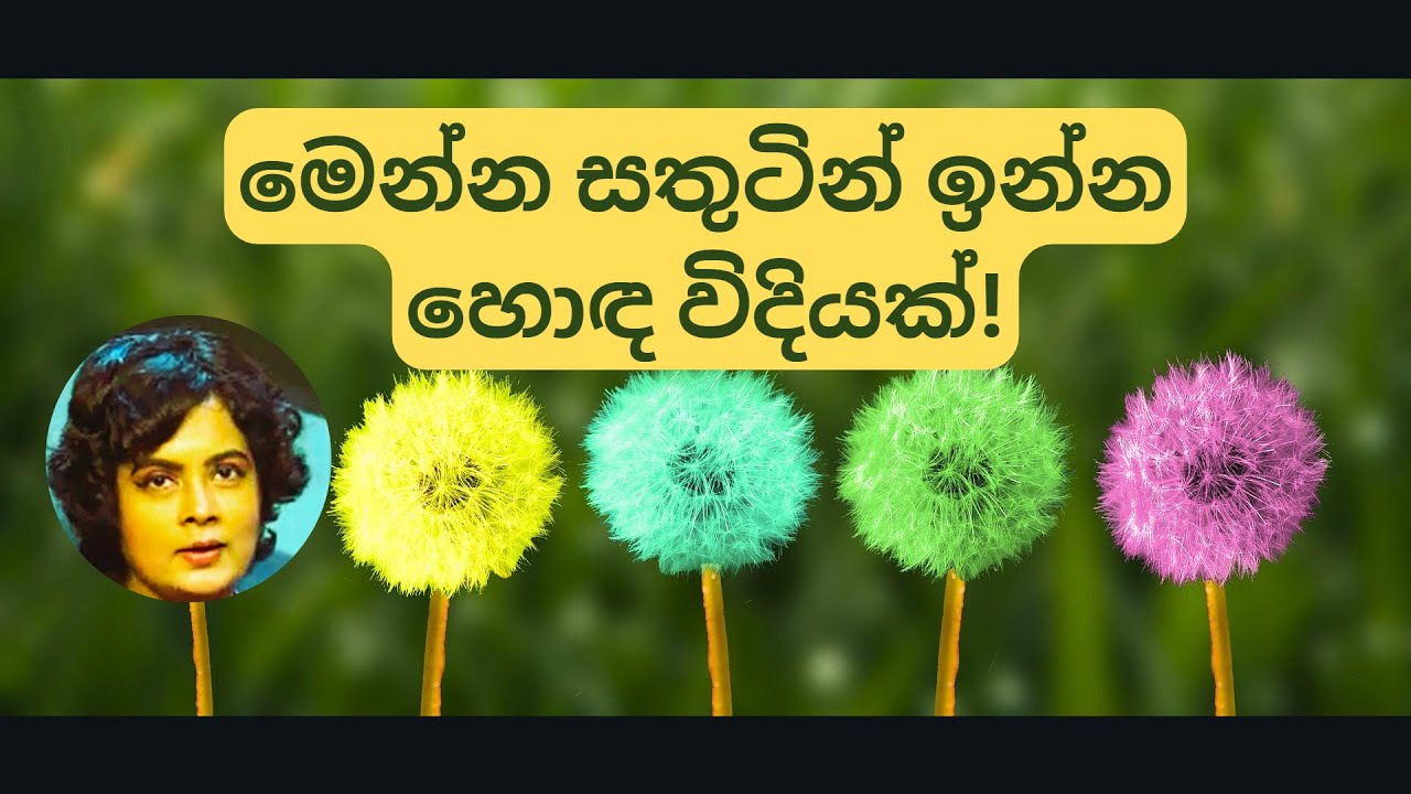 සතුටින් ඉන්න හොඳම විදිහක්! | Here's a way to be HAPPY!