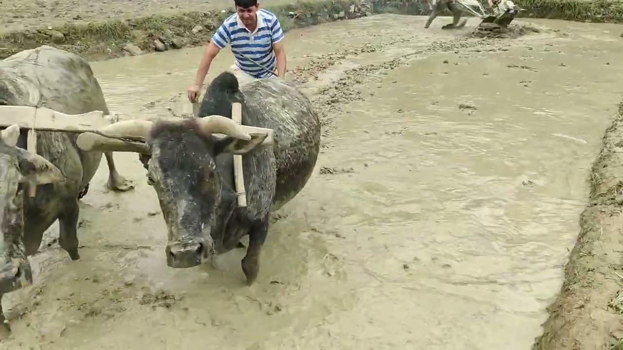 कृषि मा सक्रिय बनौं
