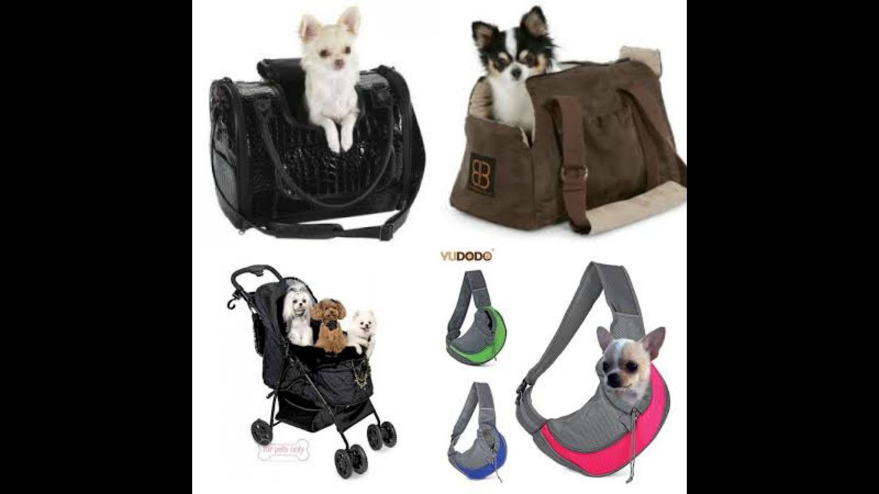 #ПЕРЕНОСКИДЛЯЧИХУА