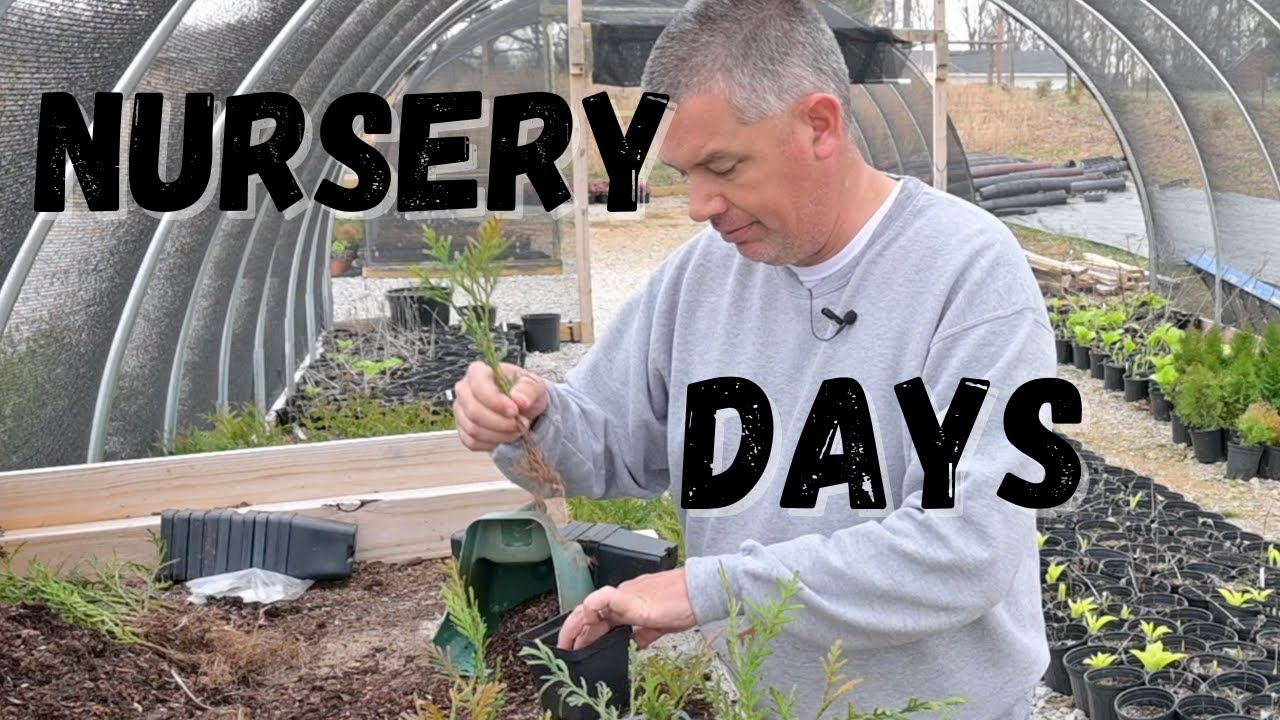 Buying Wholesale Plants, Opening Day, Potting Soil, and Tough Love