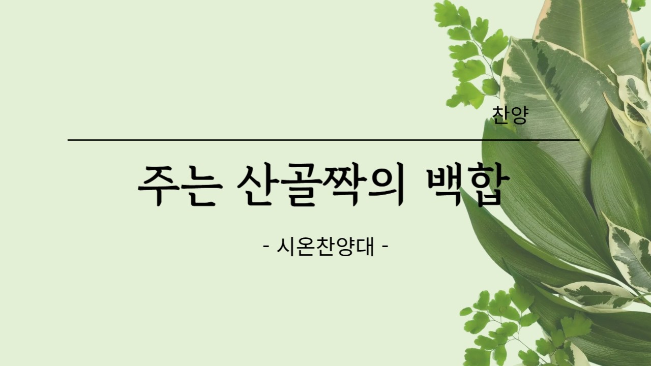 [대광교회] 주는 산골짝의 백합 - 시온찬양대