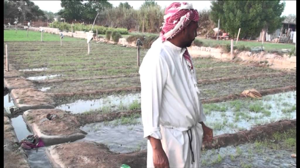 أصحاب السوء: (( الجزء الثاني ))