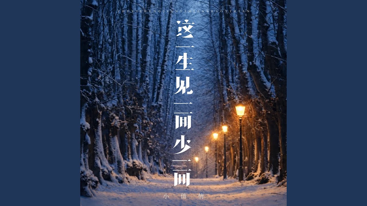 这一生见一面少一面 (伴奏)